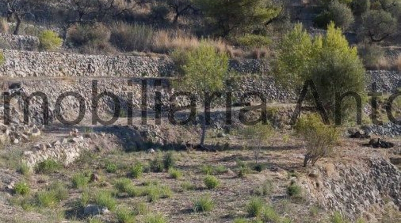 Alicante - Bolulla - 23709m2