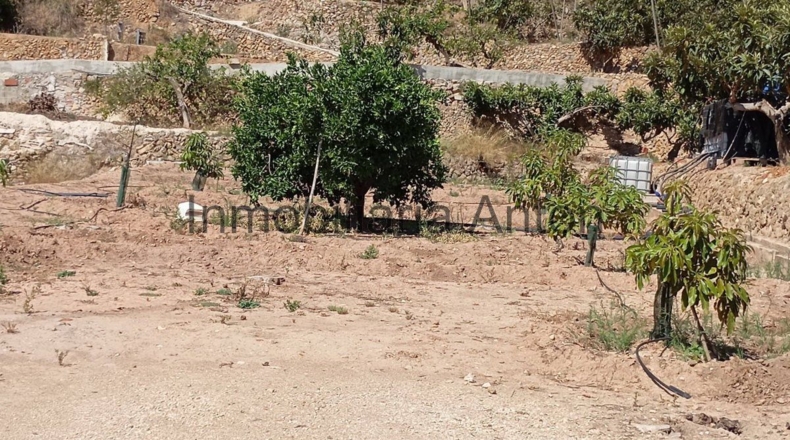 Alicante - Chirles - 7225m2