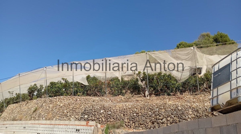 Alicante - Chirles - 7225m2