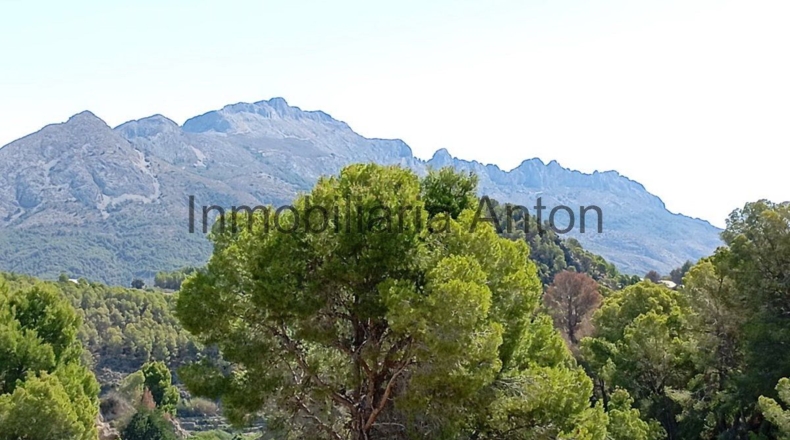 Alicante - Chirles - 7225m2