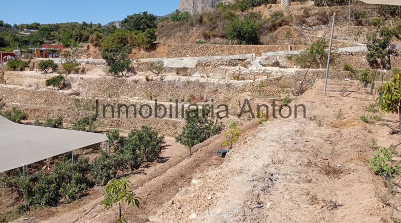 Alicante - Chirles - 7225m2
