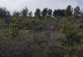 Rural estate for sale in El Castell de Guadalest ref: TR176540 photo