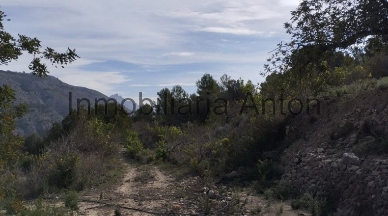 Alicante - Guadalest - 3700m2