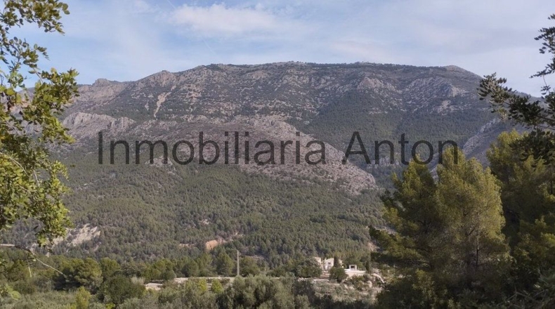 Alicante - Guadalest - 3700m2