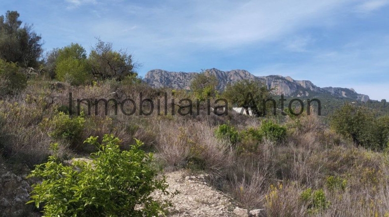 Alicante - Guadalest - 3700m2
