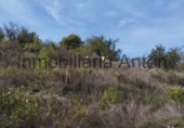 Rural estate for sale in El Castell de Guadalest ref: TR176540 photo