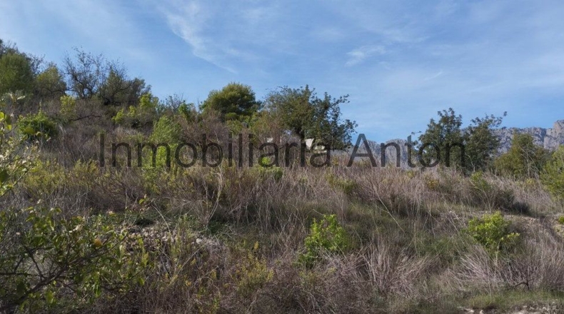 Alicante - Guadalest - 3700m2
