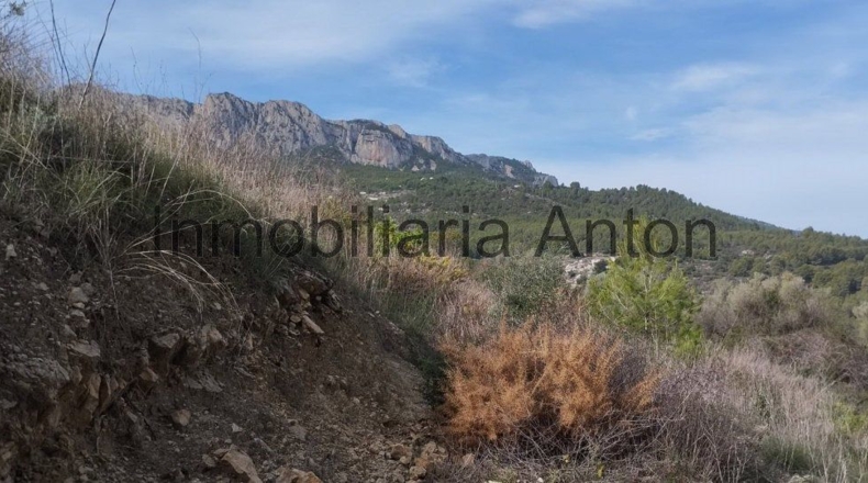 Alicante - Guadalest - 3700m2