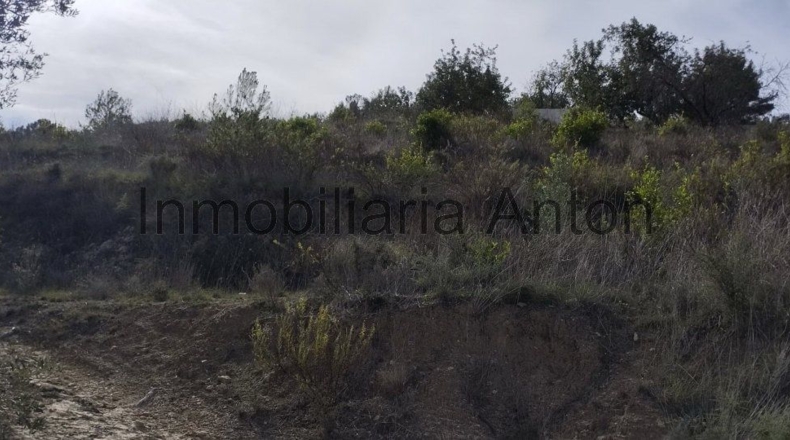 Alicante - Guadalest - 3700m2