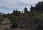 Rural estate for sale in El Castell de Guadalest ref: TR176540 photo
