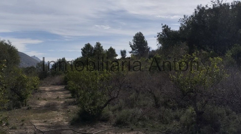 Alicante - Guadalest - 3700m2