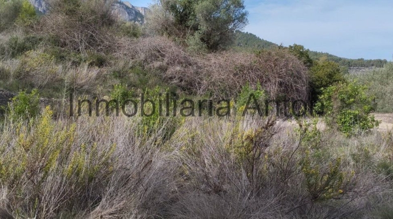 Alicante - Guadalest - 3700m2