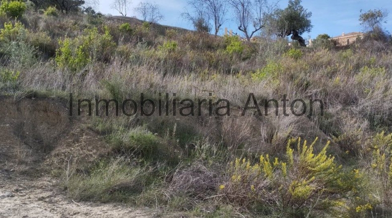 Alicante - Guadalest - 3700m2