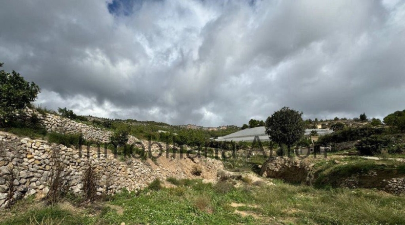 Alicante - Bolulla - 10000m2