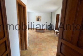 Foto 20