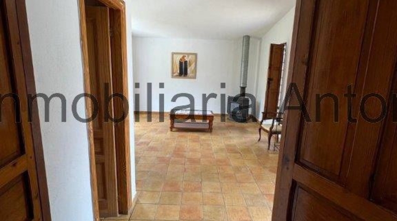 Alicante - Bolulla - 10000m2