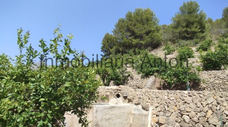 Alicante - Callosa de Ensarriá - 6467m2