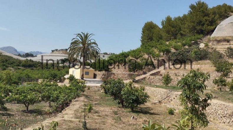 Alicante - Callosa de Ensarriá - 6467m2