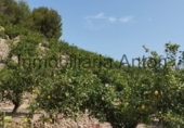 Finca rústica en venda a Callosa d'en Sarrià ref.: TR261507 foto