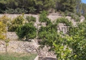 Finca rústica en venda a Callosa d'en Sarrià ref.: TR261507 foto