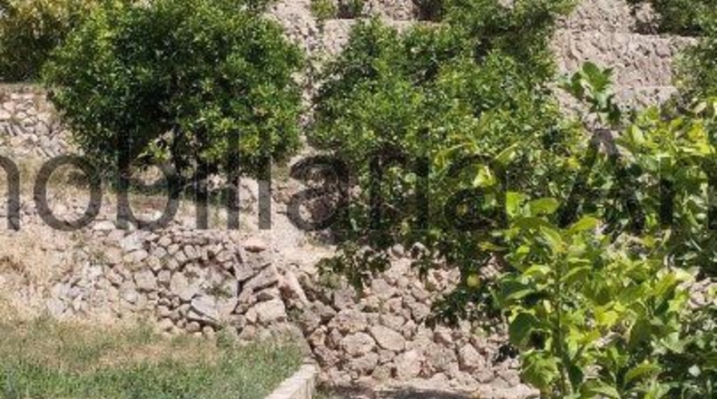 Alicante - Callosa de Ensarriá - 6467m2