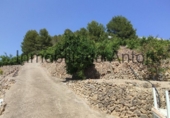 Finca rústica en venda a Callosa d'en Sarrià ref.: TR261507 foto