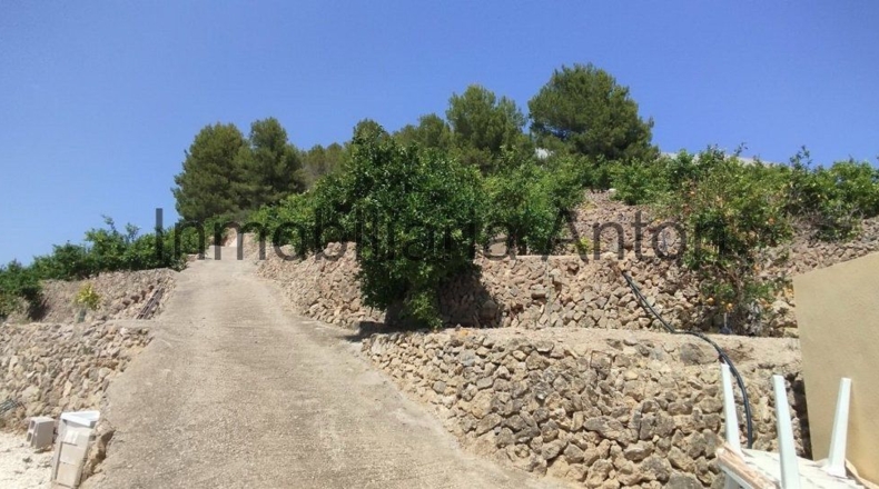 Alicante - Callosa de Ensarriá - 6467m2