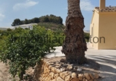 Finca rústica en venda a Callosa d'en Sarrià ref.: TR261507 foto