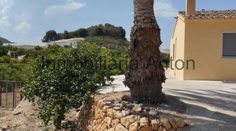 Alicante - Callosa de Ensarriá - 6467m2