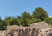 Finca rústica en venda a Callosa d'en Sarrià ref.: TR261507 foto