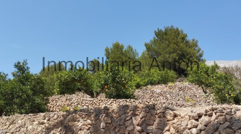 Alicante - Callosa de Ensarriá - 6467m2