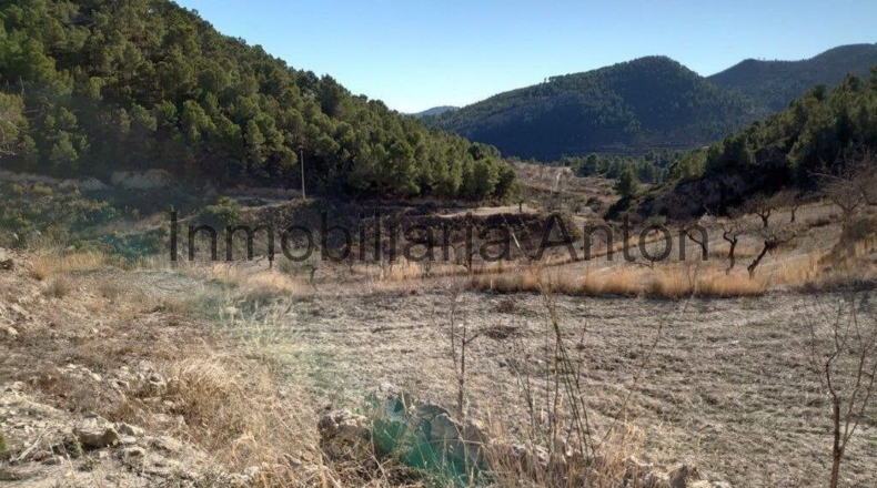 Alicante - Рельеу - 241047m2