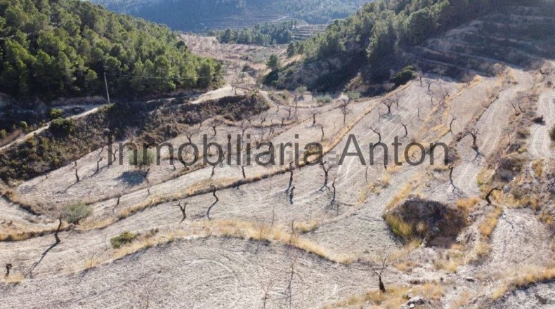 Alicante - Рельеу - 241047m2