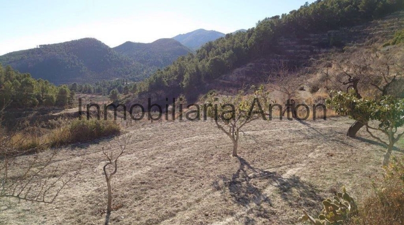Alicante - Рельеу - 241047m2