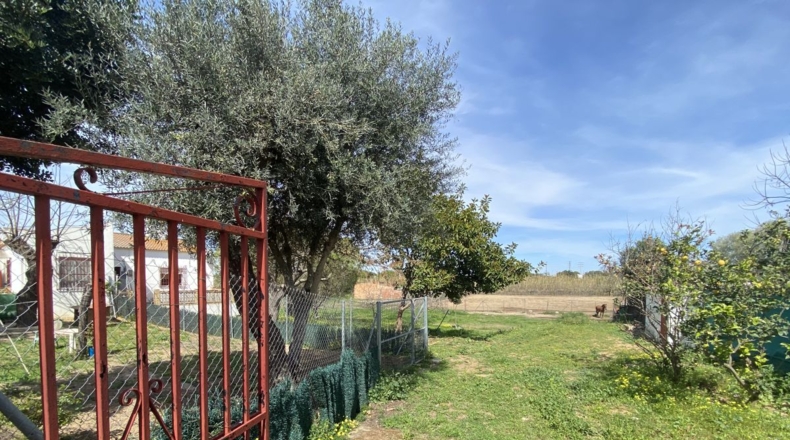 Huelva - La Redondela - 2800m2