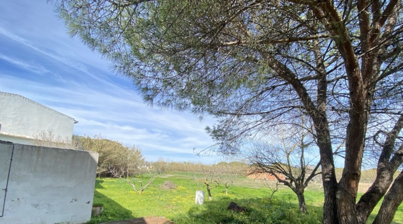 Huelva - La Redondela - 2800m2