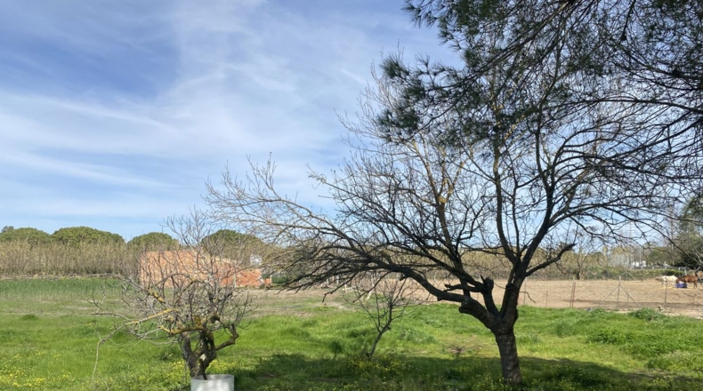Huelva - La Redondela - 2800m2