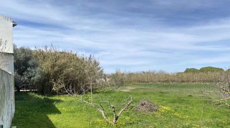 Huelva - La Redondela - 2800m2