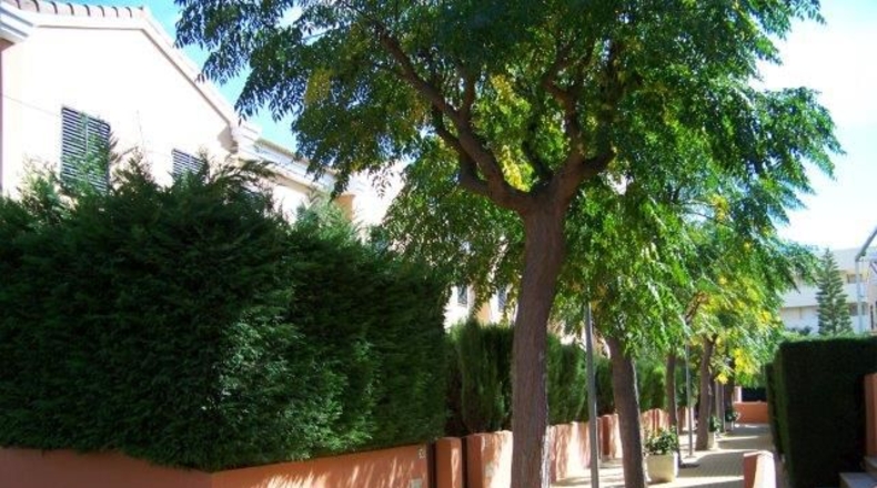 Huelva - Lepe - 110m2