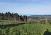 Non-developable land for sale in Gijón ref: TR253416 photo