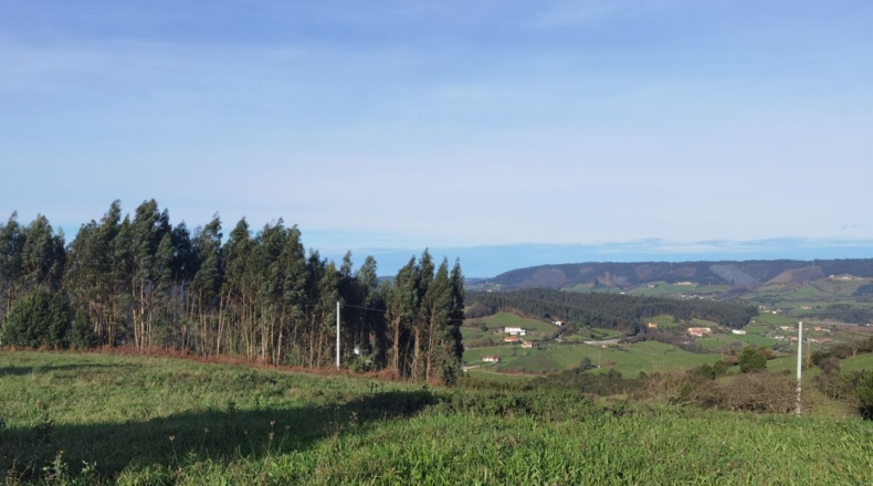 Asturias - Gijón - 3200m2