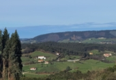 Non-developable land for sale in Gijón ref: TR253416 photo