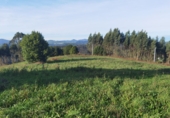 Non-developable land for sale in Gijón ref: TR253416 photo