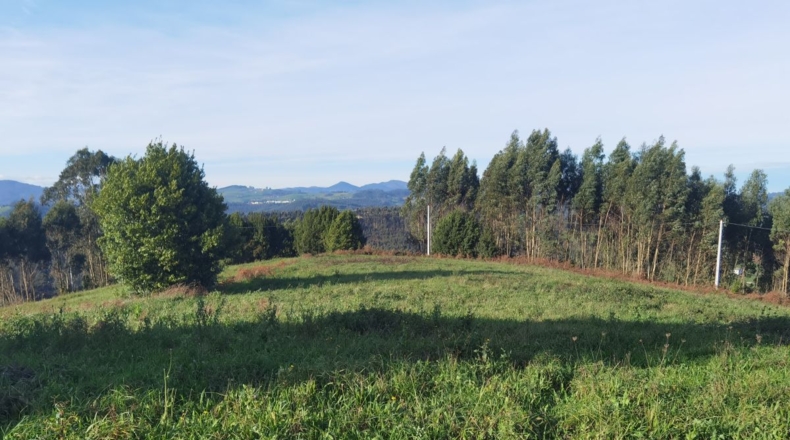 Asturias - Gijón - 3200m2