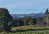 Non-developable land for sale in Gijón ref: TR253416 photo