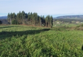 Non-developable land for sale in Gijón ref: TR253416 photo