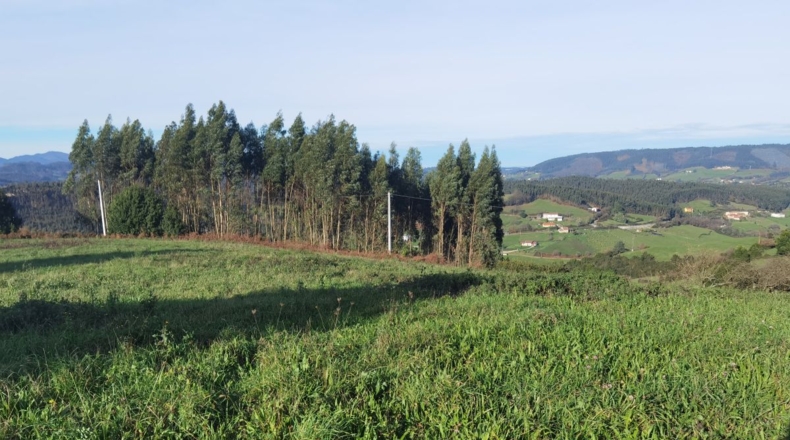 Asturias - Gijón - 3200m2
