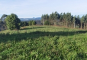 Non-developable land for sale in Gijón ref: TR253416 photo