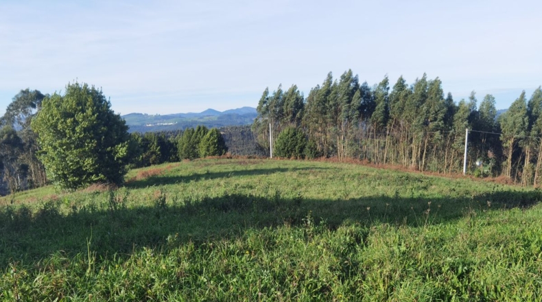Asturias - Gijón - 3200m2