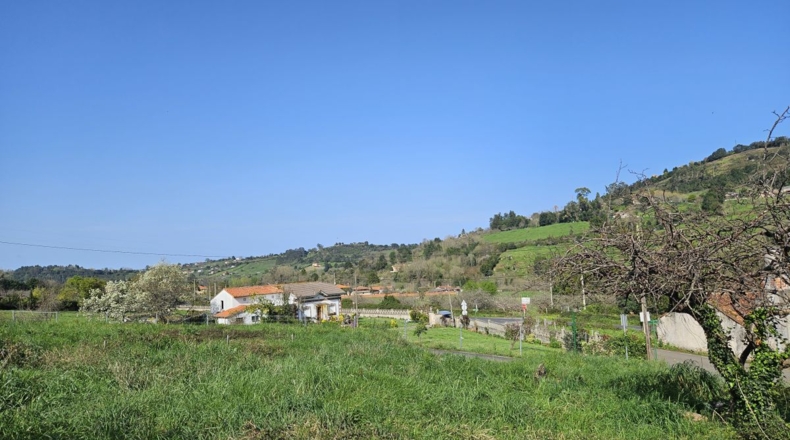 Asturias - Gijón - 1635m2